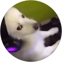 Sushant R. profile picture